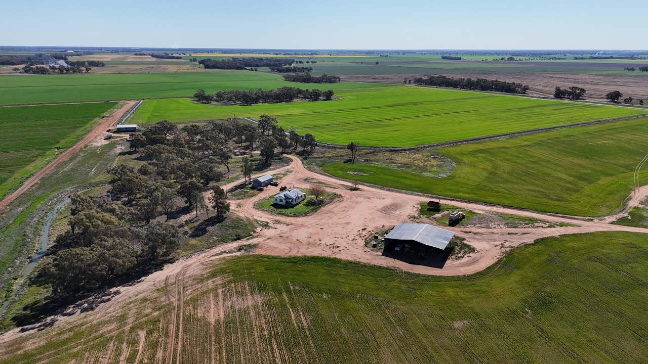 1354 Main Canal Road, Coleambally For Sale by Farmbuy.com - image 2