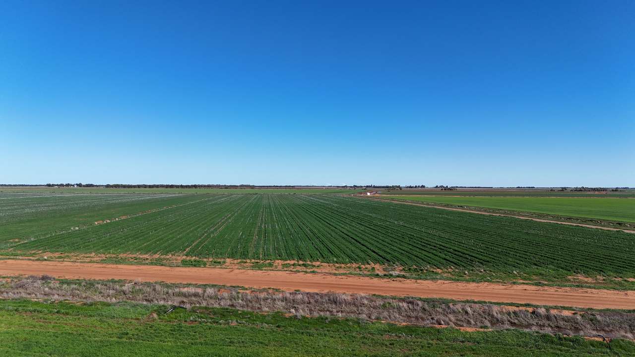 1354 Main Canal Road, Coleambally For Sale by Farmbuy.com - image 6