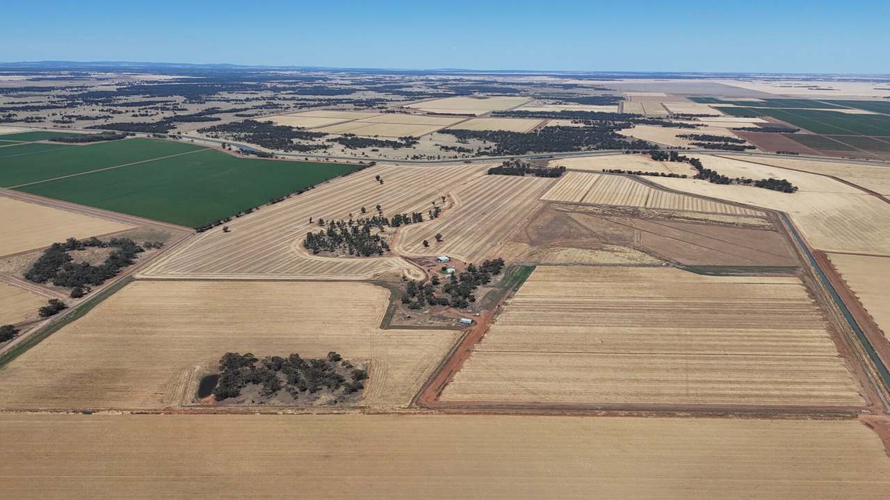 1354 Main Canal Road, Coleambally For Sale by Farmbuy.com - image 6