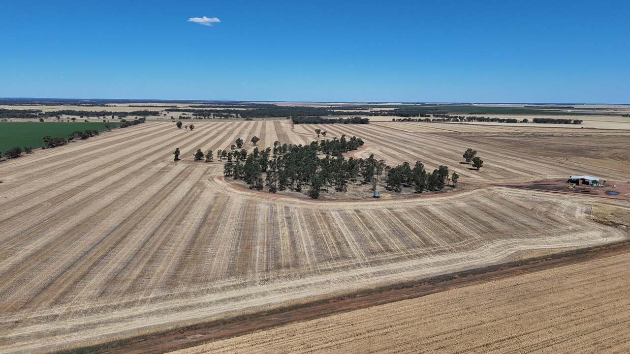 1354 Main Canal Road, Coleambally For Sale by Farmbuy.com - image 16