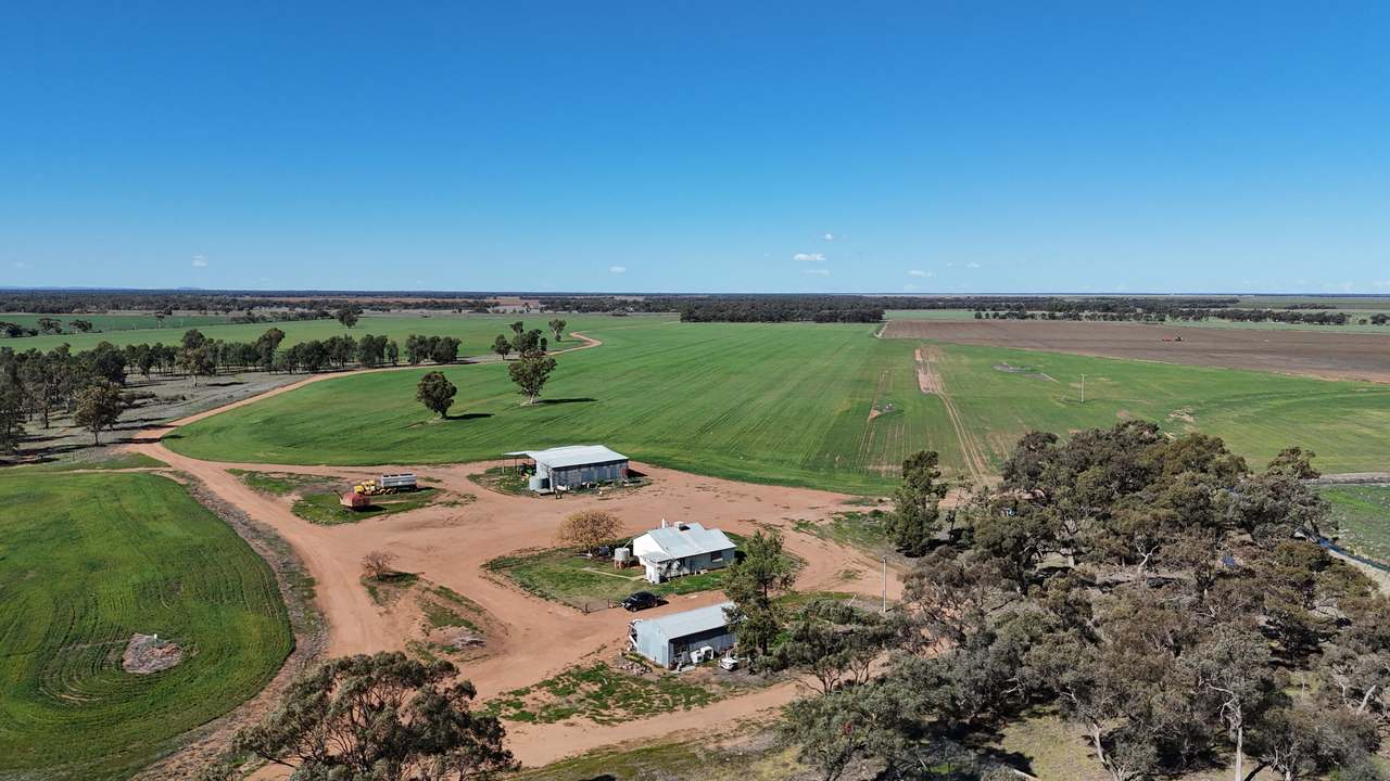 1354 Main Canal Road, Coleambally For Sale by Farmbuy.com - image 4
