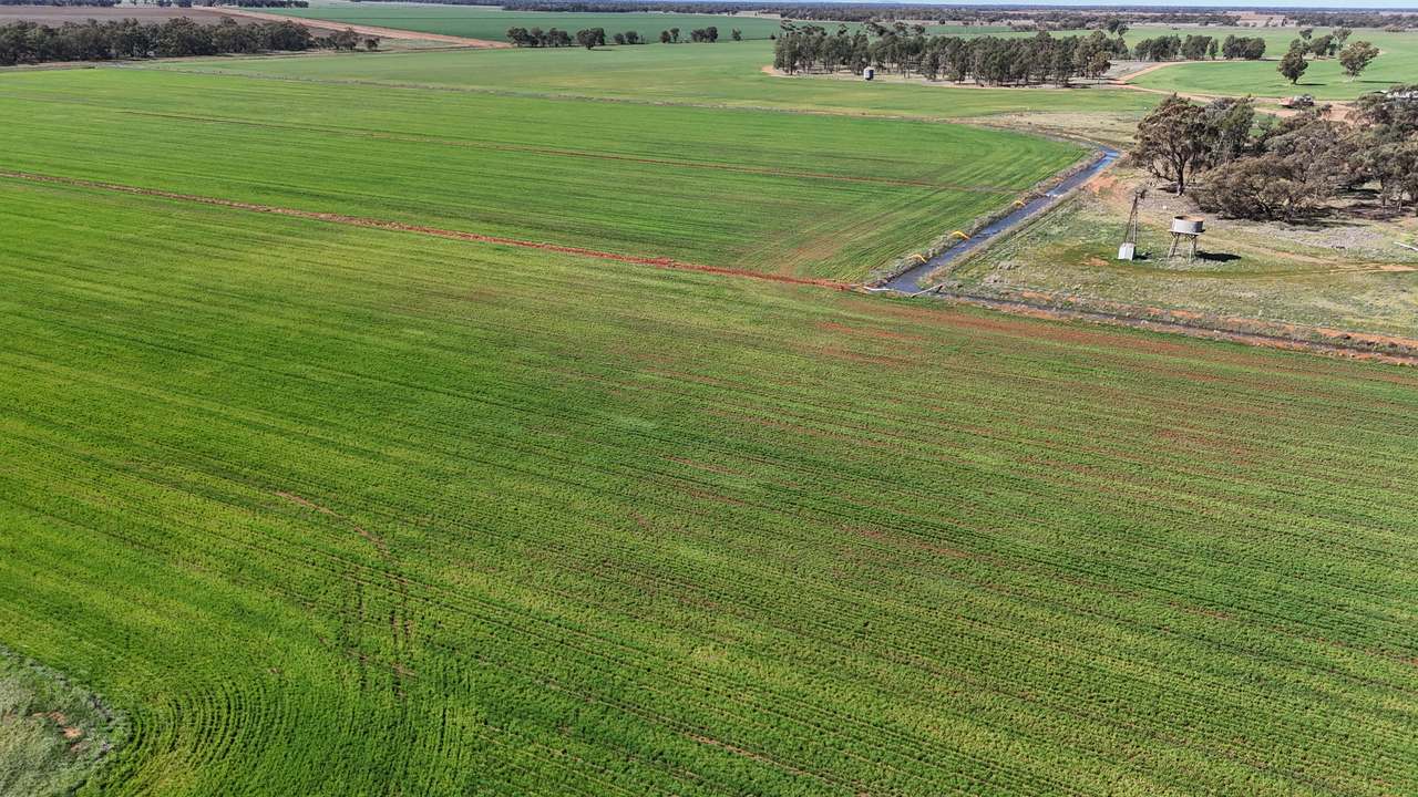 1354 Main Canal Road, Coleambally For Sale by Farmbuy.com - image 5