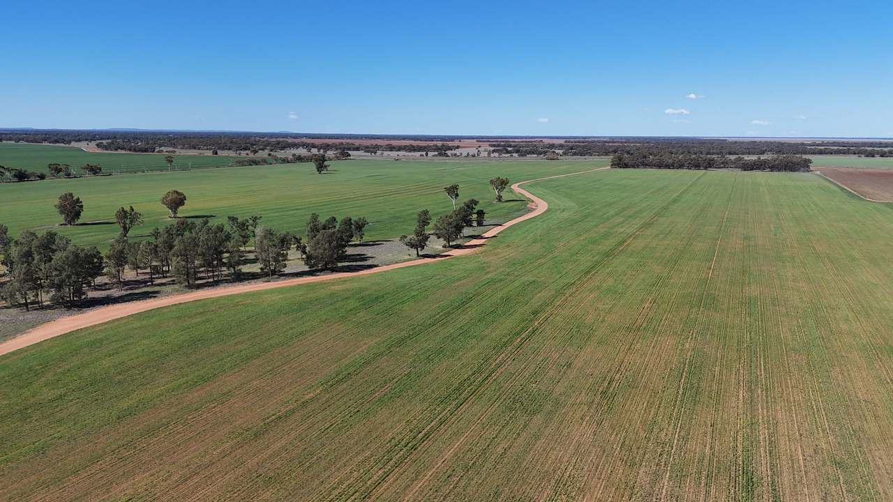 1354 Main Canal Road, Coleambally For Sale by Farmbuy.com - image 8
