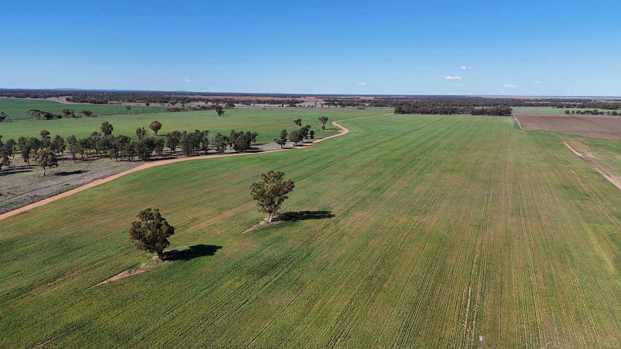 1354 Main Canal Road, Coleambally For Sale by Farmbuy.com - image 7