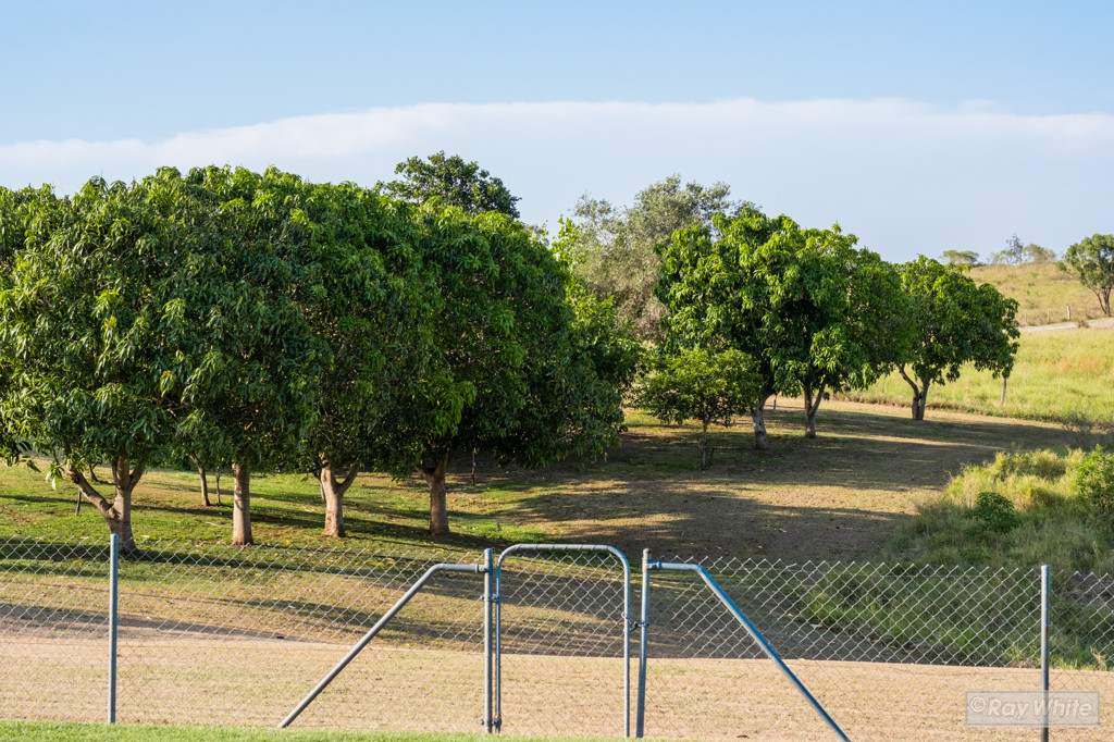160 Meldrum Road , Glendale  Auction by Farmbuy.com - image 45