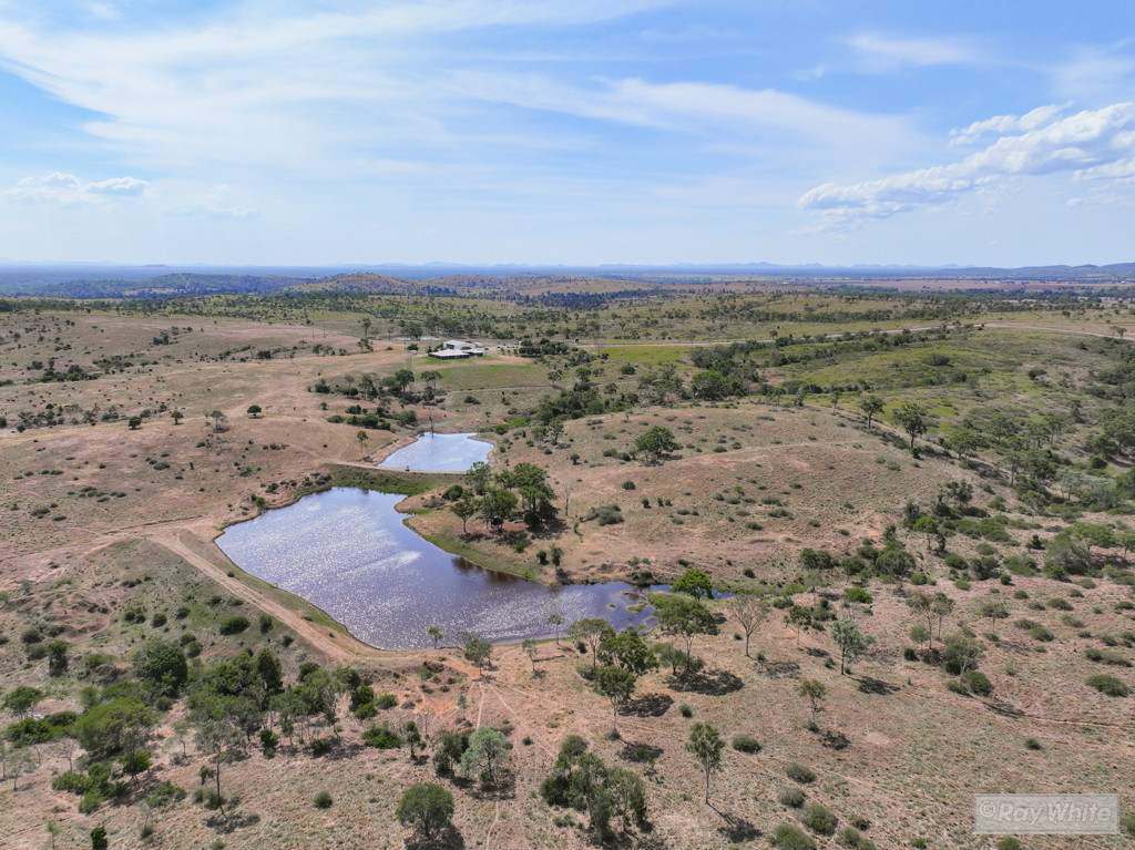 160 Meldrum Road , Glendale  Auction by Farmbuy.com - image 55