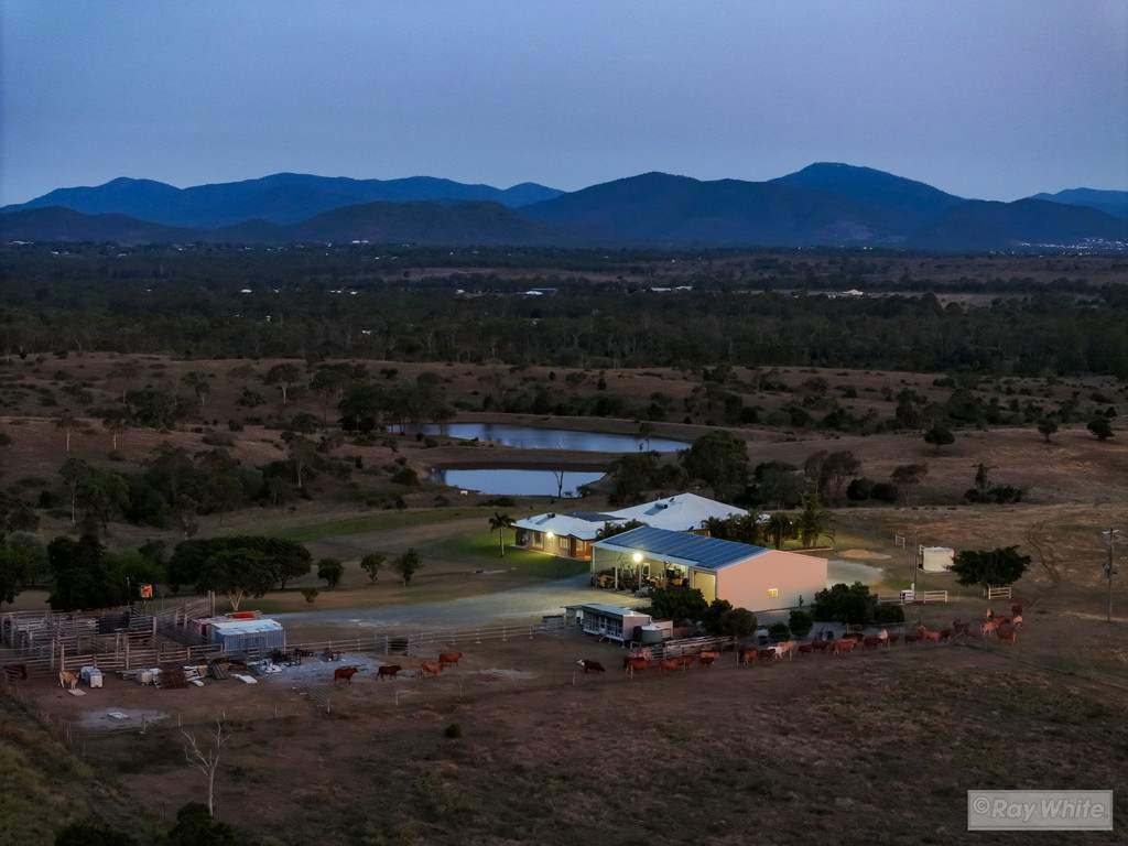 160 Meldrum Road , Glendale  Auction by Farmbuy.com - image 3