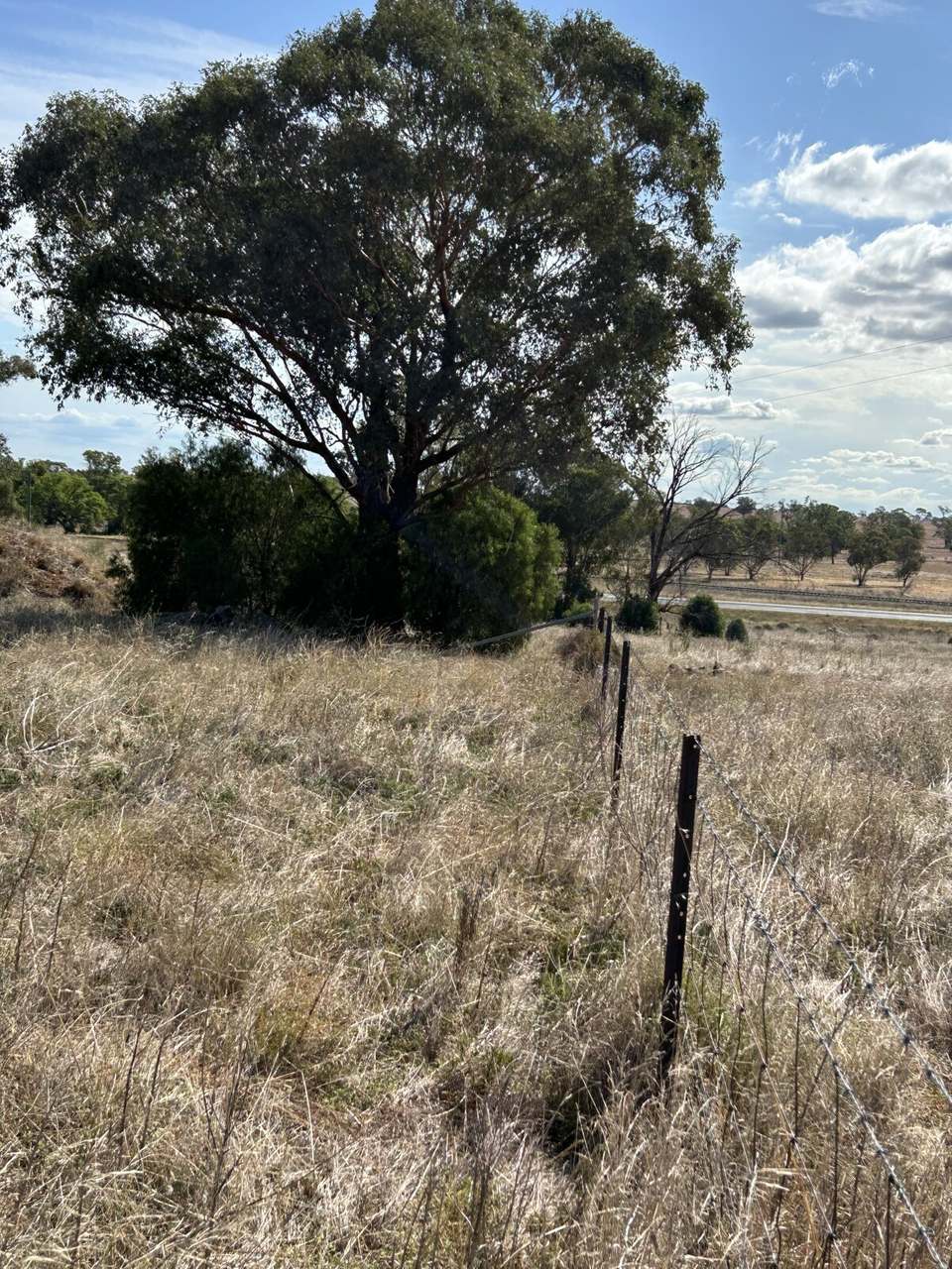 Lot 415 &amp; 458 Newell Highway , Trewilga For Sale by Farmbuy.com - image 8