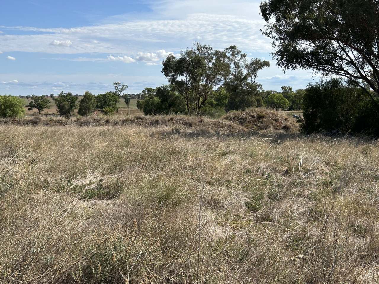 Lot 415 &amp; 458 Newell Highway , Trewilga For Sale by Farmbuy.com - image 7