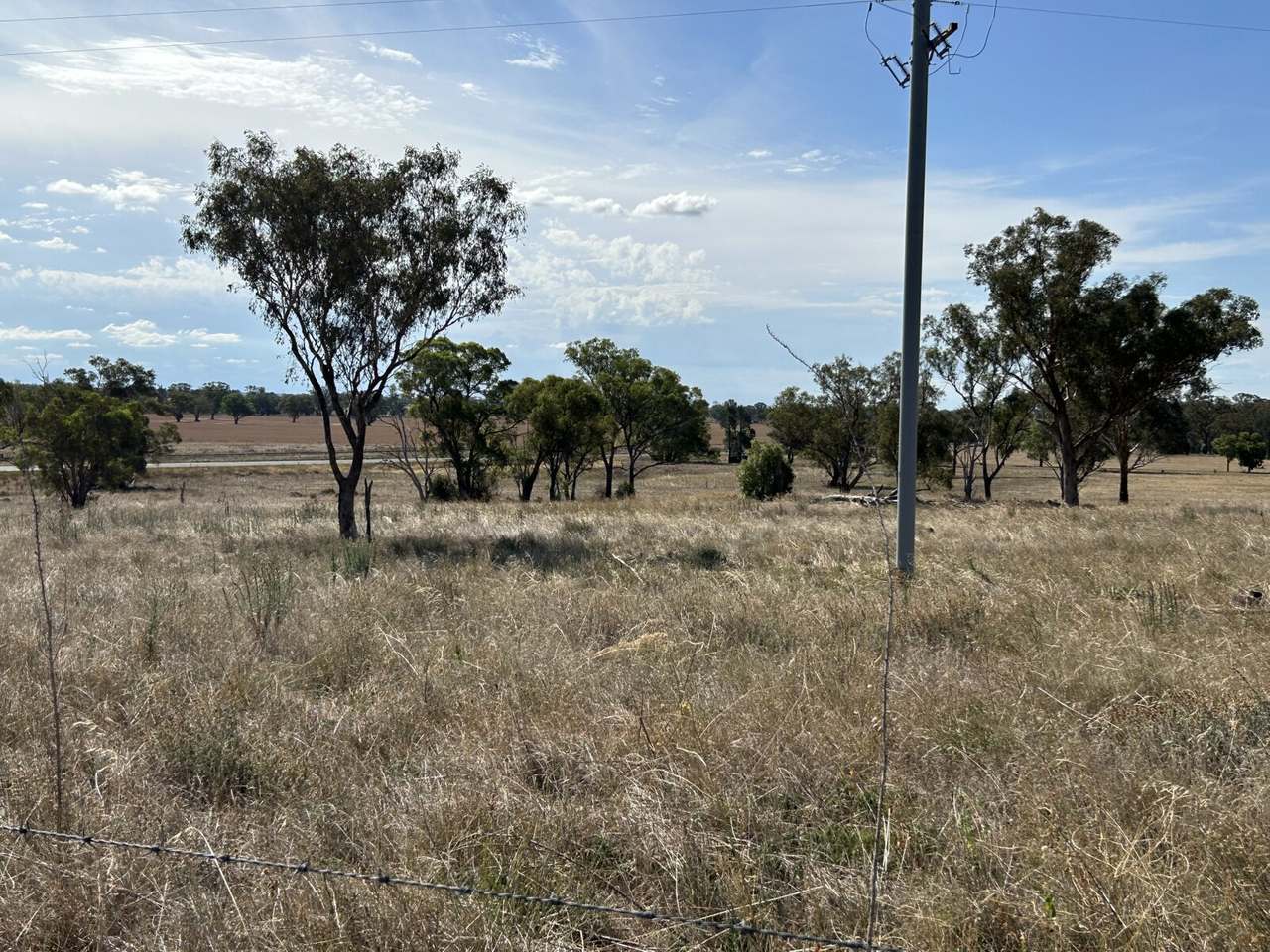 Lot 415 &amp; 458 Newell Highway , Trewilga For Sale by Farmbuy.com - image 9