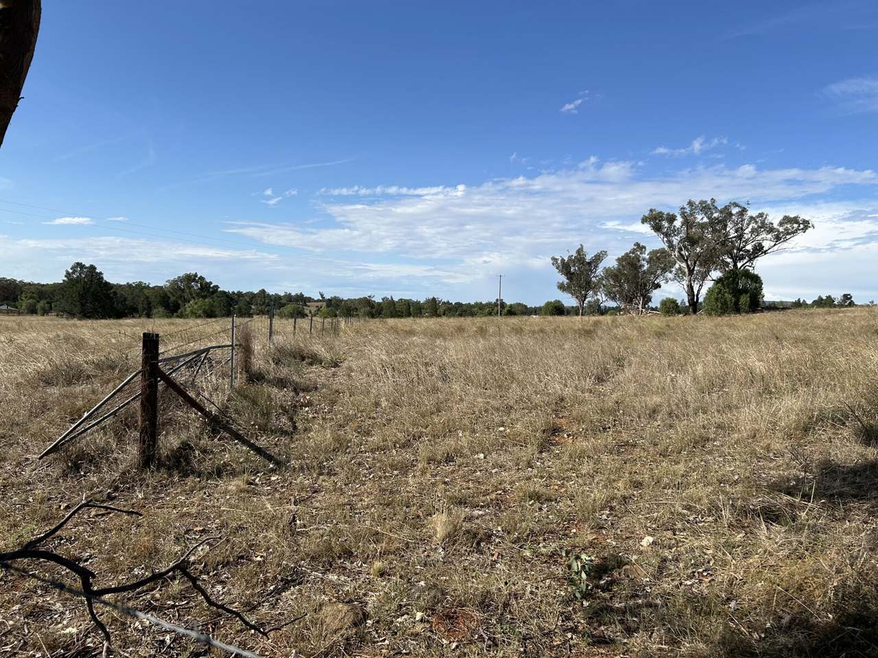 Lot 415 &amp; 458 Newell Highway , Trewilga For Sale by Farmbuy.com - image 3
