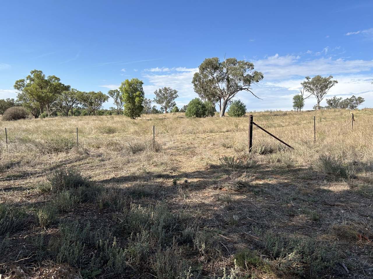 Lot 415 &amp; 458 Newell Highway , Trewilga For Sale by Farmbuy.com - image 4