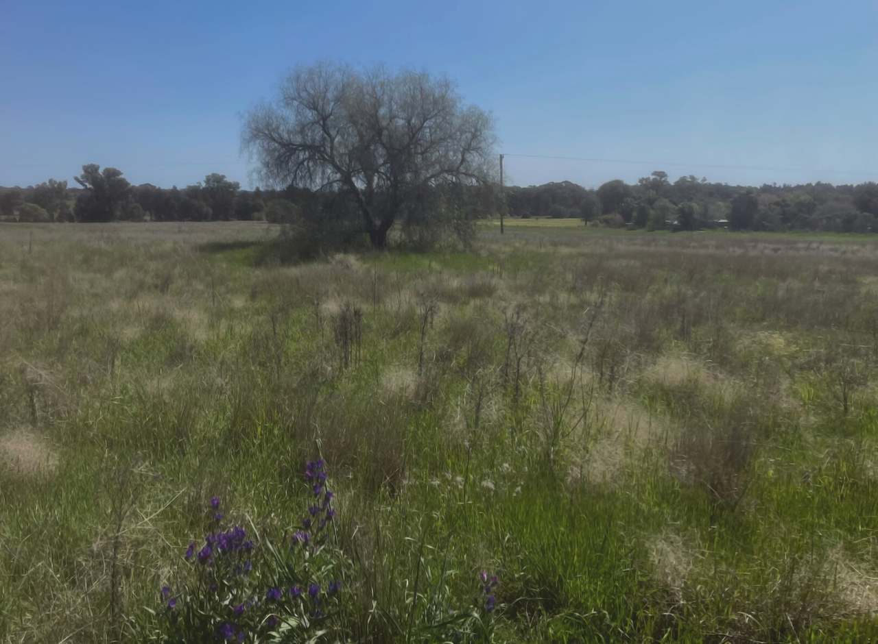 48 Furners Lane, Trewilga For Sale by Farmbuy.com - image 3