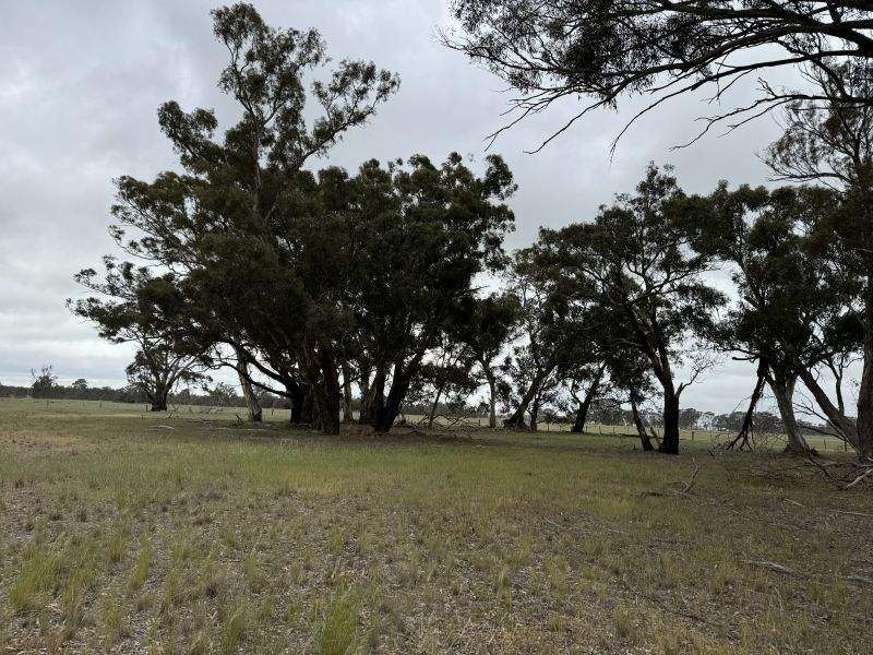 Stawell-Avoca Road, Greens Creek Sold by Farmbuy.com - image 4