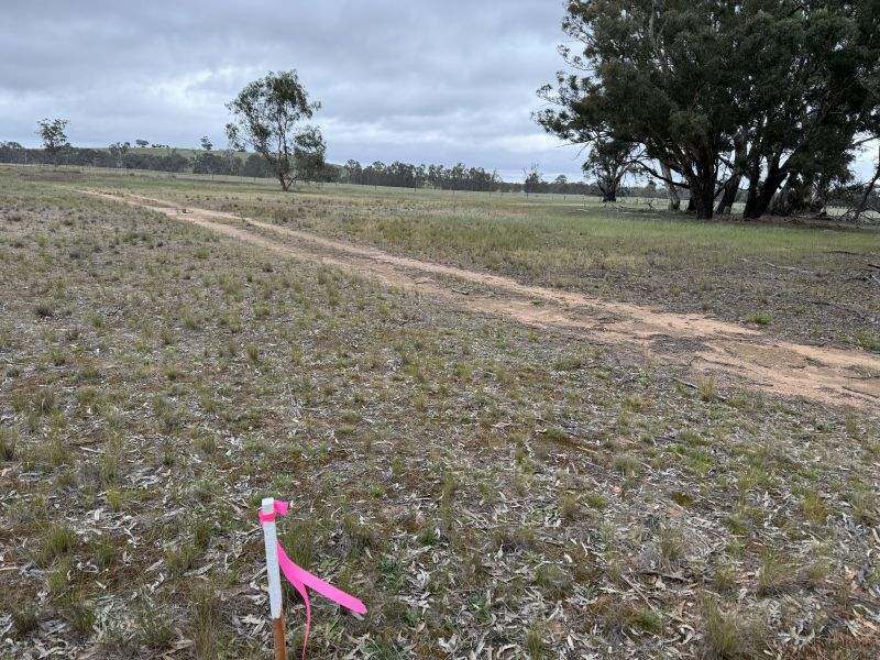 Stawell-Avoca Road, Greens Creek Sold by Farmbuy.com - image 3
