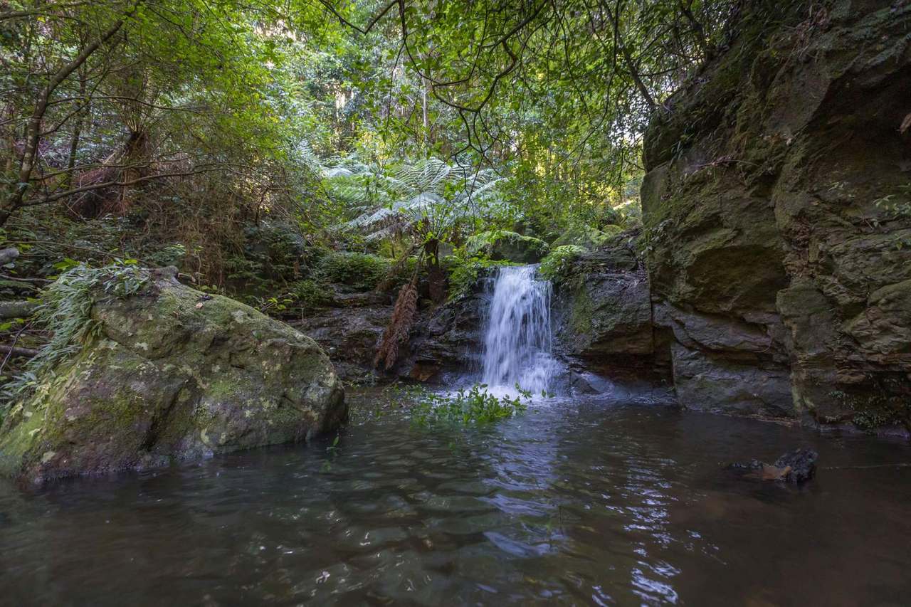 Lot 1 Gerringong Creek Road, Kangaroo Valley Sold by Farmbuy.com - image 3