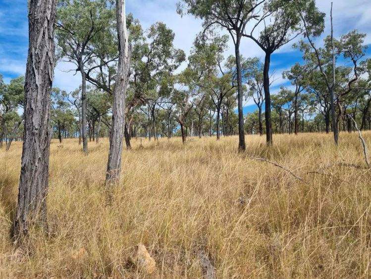 Hughenden  For Sale by Farmbuy.com - image 3