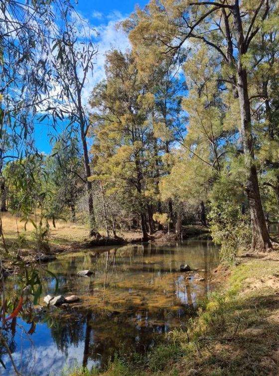 Hughenden  For Sale by Farmbuy.com - image 9