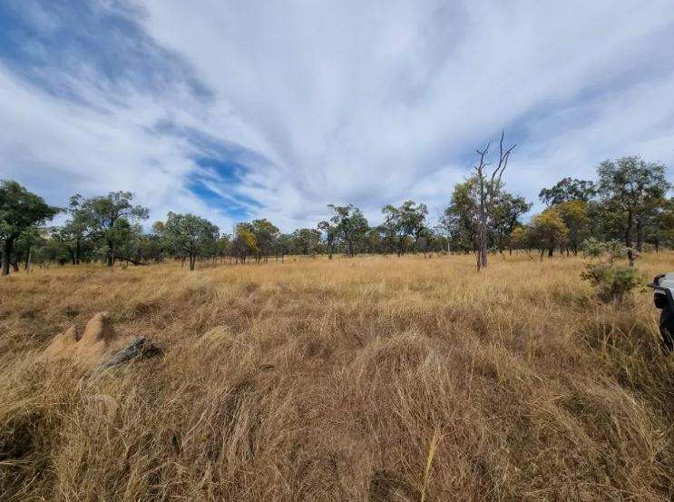 Hughenden  For Sale by Farmbuy.com - image 4