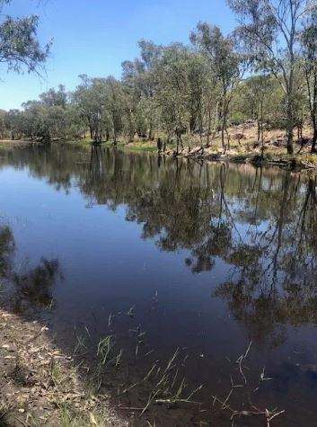 Hughenden  For Sale by Farmbuy.com - image 7