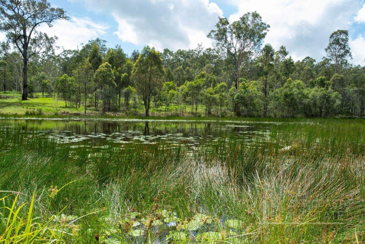 217 Wilsons Road, Tiaro For Sale by Farmbuy.com - image 5