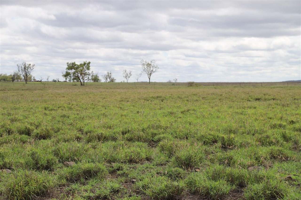 2444 Birtley Road, Springsure Sold by Farmbuy.com - image 3