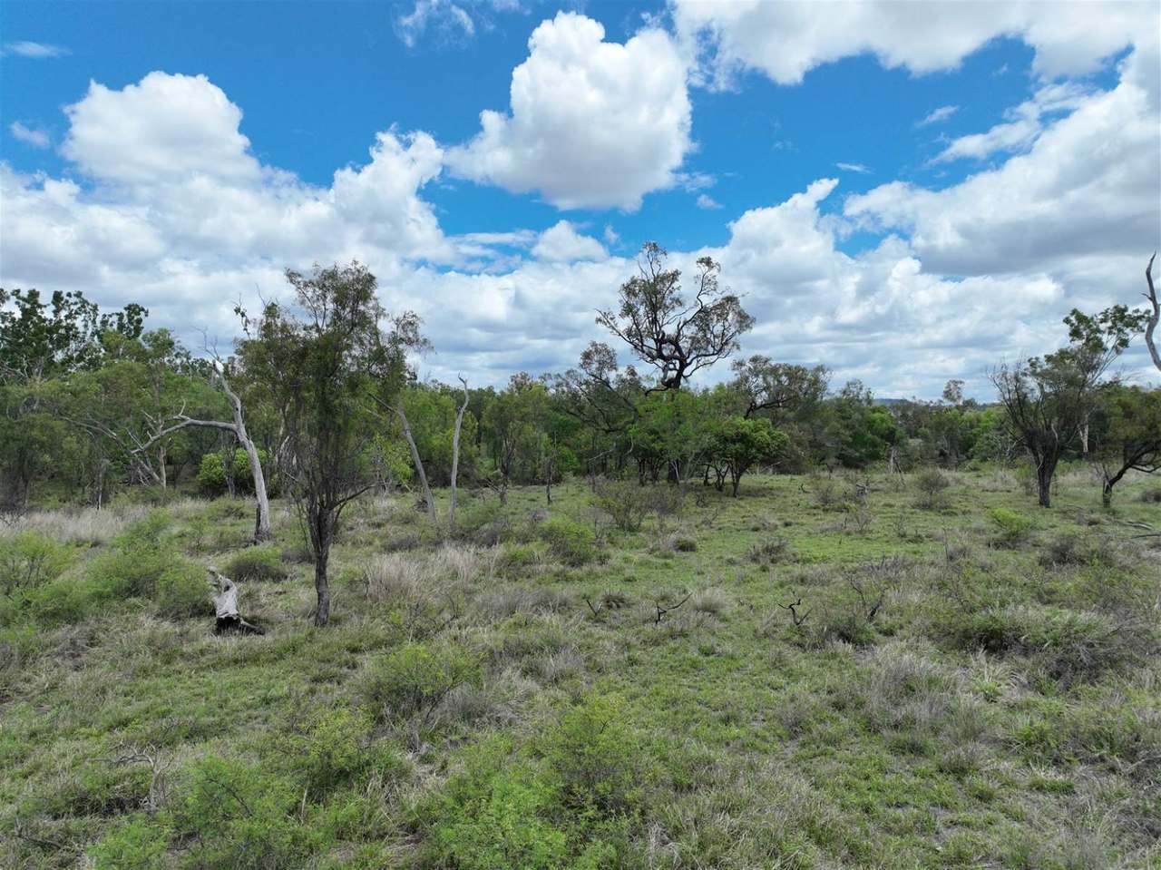 2444 Birtley Road, Springsure Sold by Farmbuy.com - image 12