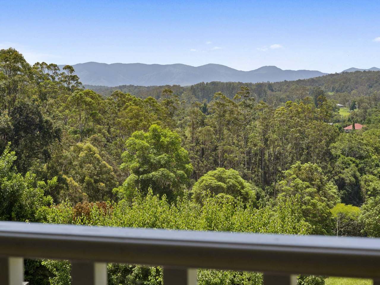 853 Bowraville Road, Brierfield Sold by Farmbuy.com - image 31