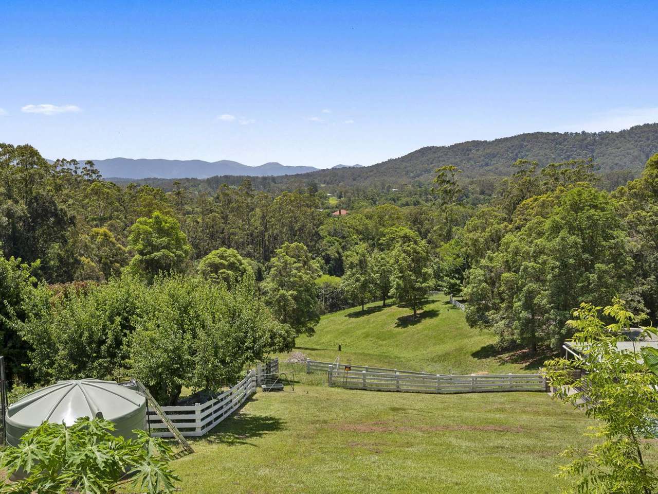 853 Bowraville Road, Brierfield Sold by Farmbuy.com - image 15