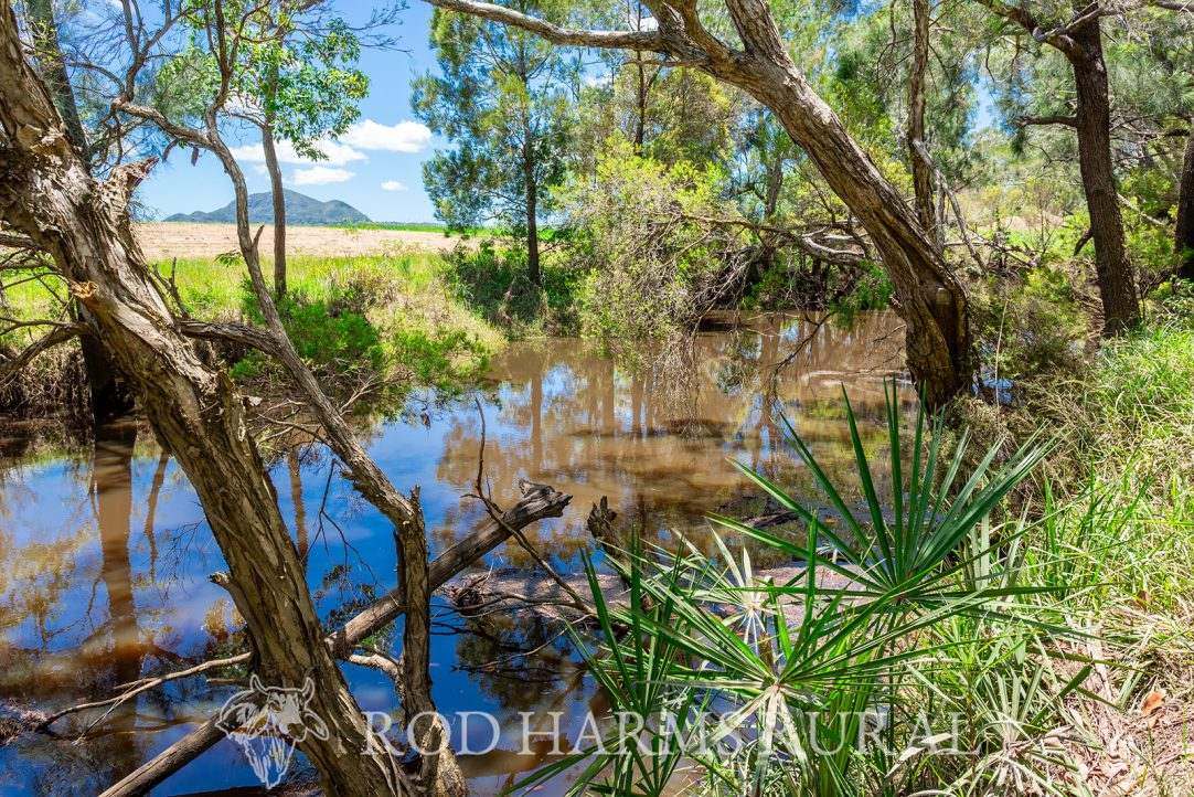 1600 Yeppoon Road, Mulara, Yeppoon Auction by Farmbuy.com - image 19