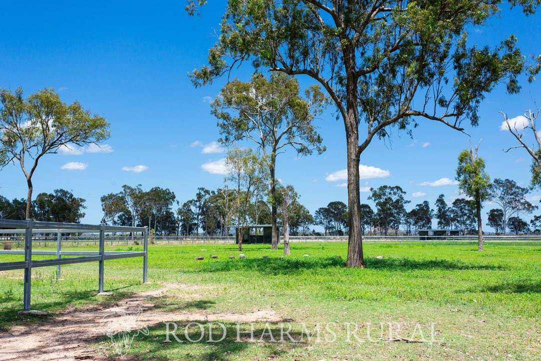 1600 Yeppoon Road, Mulara, Yeppoon Auction by Farmbuy.com - image 10
