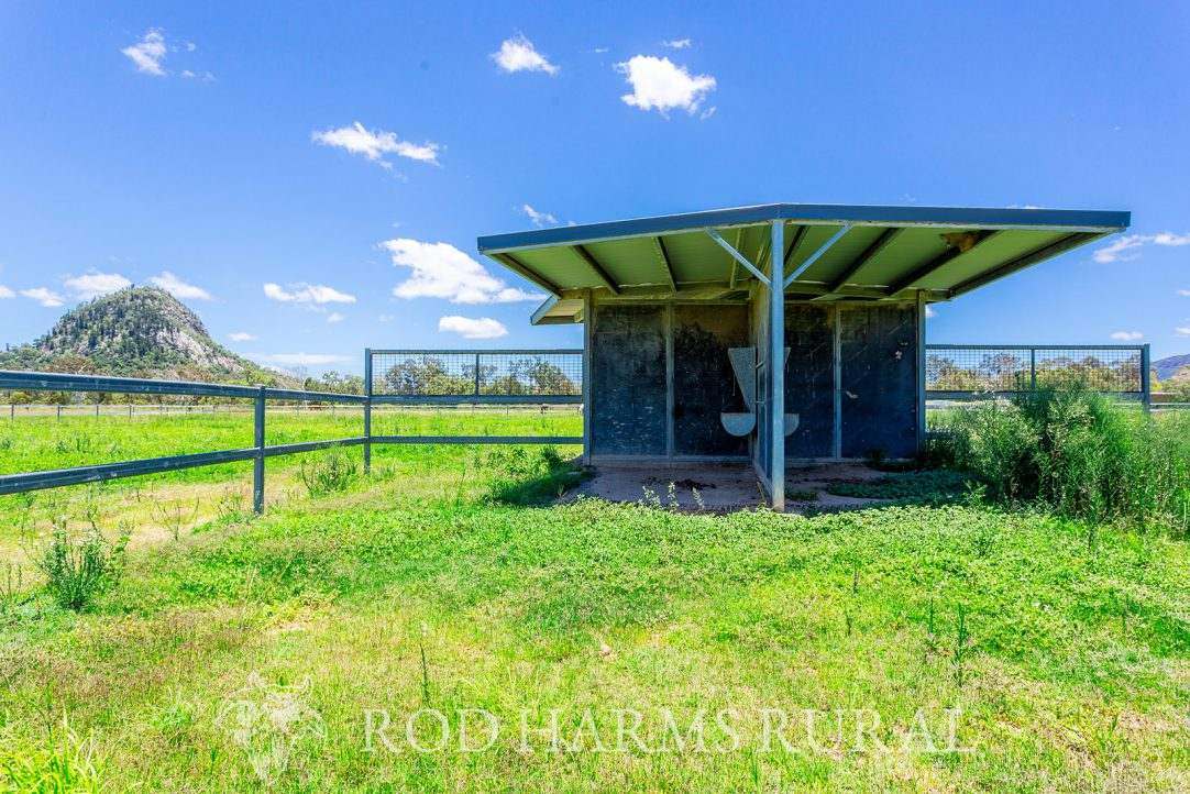 1600 Yeppoon Road, Mulara, Yeppoon Auction by Farmbuy.com - image 12