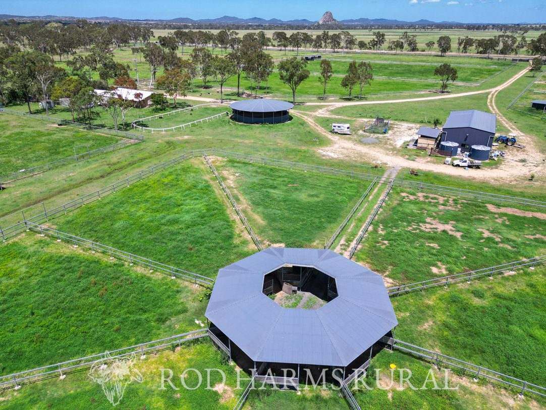 1600 Yeppoon Road, Mulara, Yeppoon Auction by Farmbuy.com - image 5