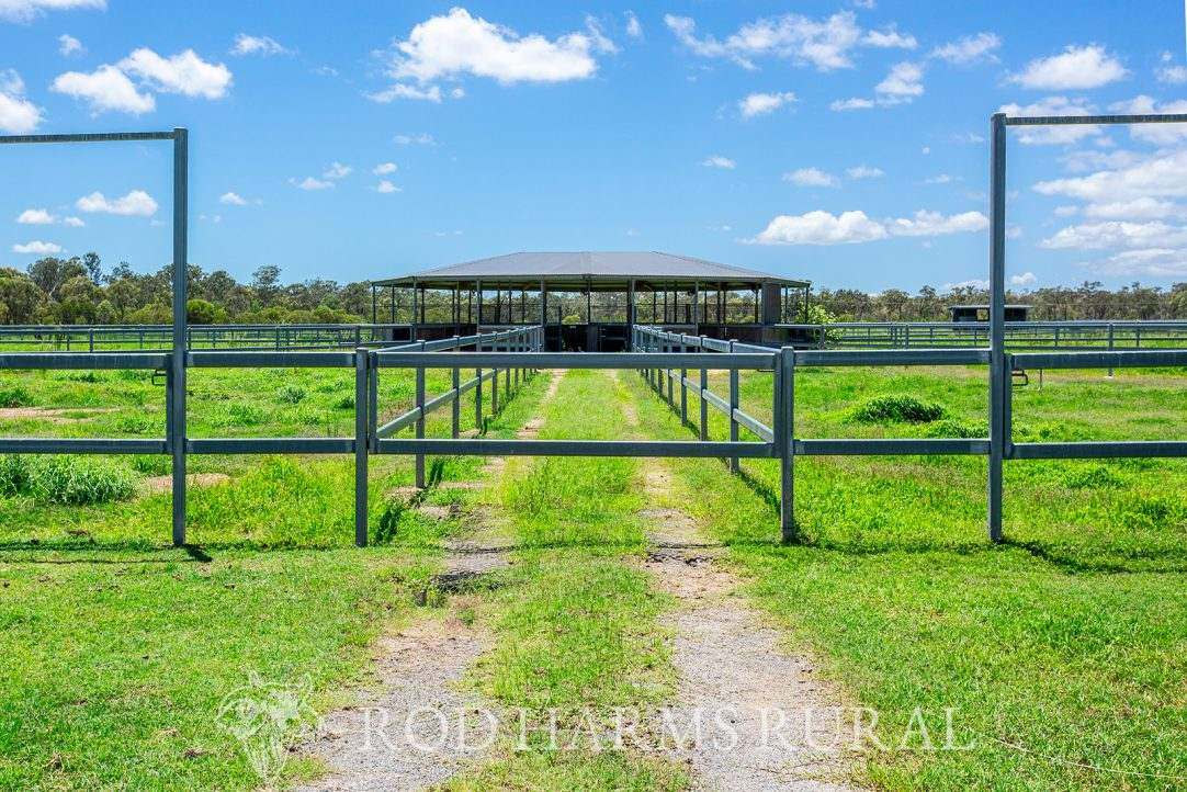 1600 Yeppoon Road, Mulara, Yeppoon Auction by Farmbuy.com - image 7