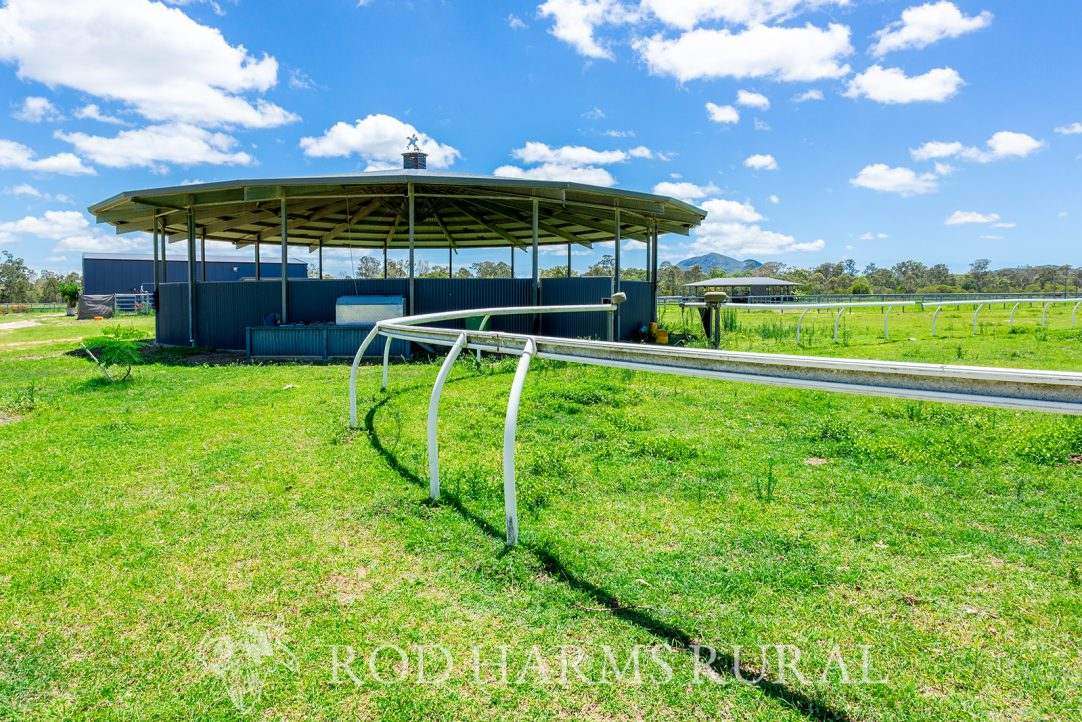 1600 Yeppoon Road, Mulara, Yeppoon Auction by Farmbuy.com - image 8