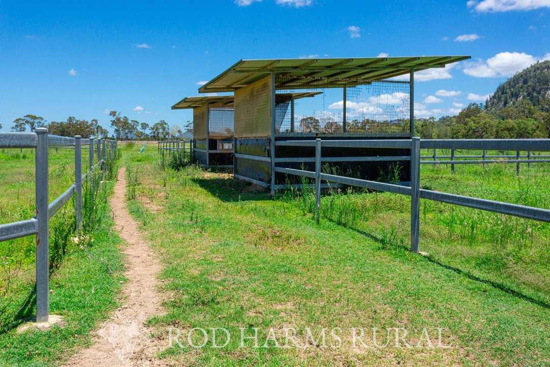 1600 Yeppoon Road, Mulara, Yeppoon Auction by Farmbuy.com - image 11