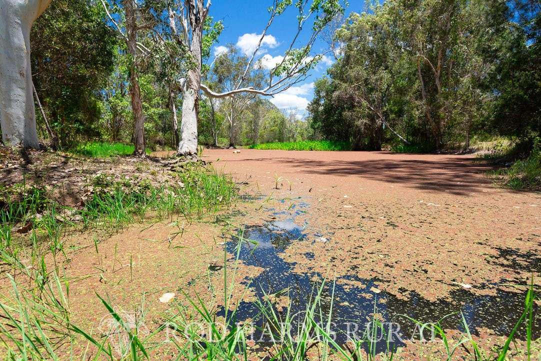 1600 Yeppoon Road, Mulara, Yeppoon Auction by Farmbuy.com - image 16