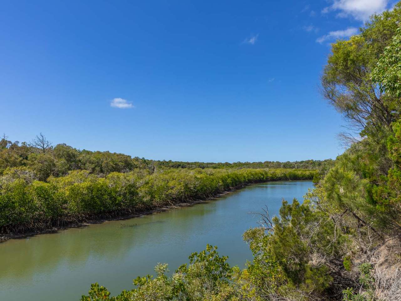93 Davenport Drive, Coonarr For Sale by Farmbuy.com - image 36