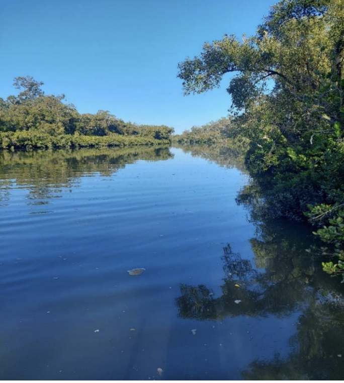 1452 Buxton Road, Buxton For Sale by Farmbuy.com - image 4
