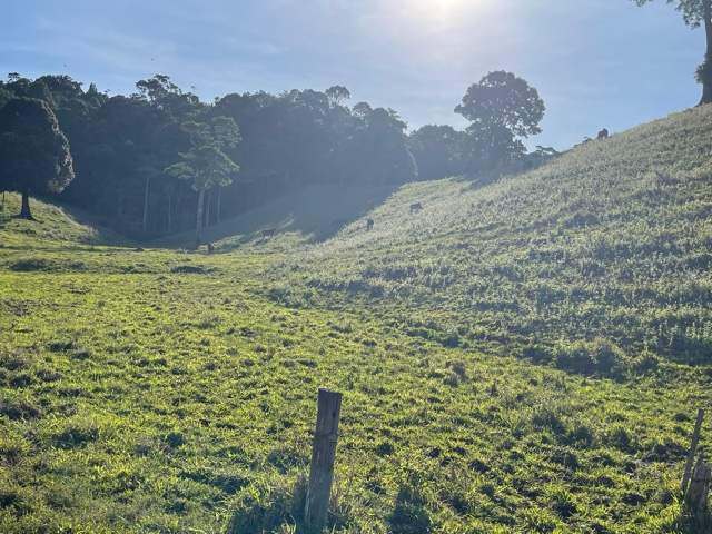 Middlebrook Road, Millaa Millaa For Sale by Farmbuy.com - image 12