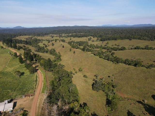 Middlebrook Road, Millaa Millaa For Sale by Farmbuy.com - image 7