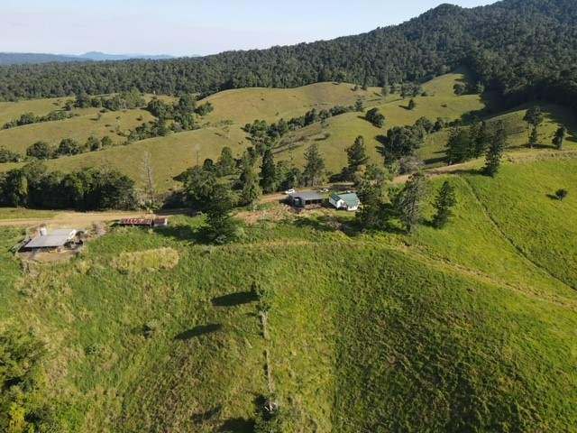 Middlebrook Road, Millaa Millaa For Sale by Farmbuy.com - image 6