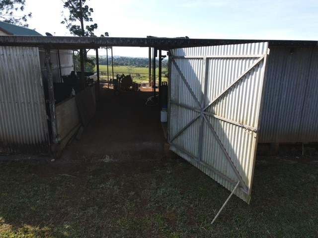 Middlebrook Road, Millaa Millaa For Sale by Farmbuy.com - image 15