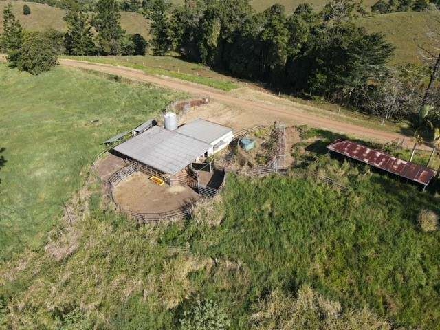 Middlebrook Road, Millaa Millaa For Sale by Farmbuy.com - image 4