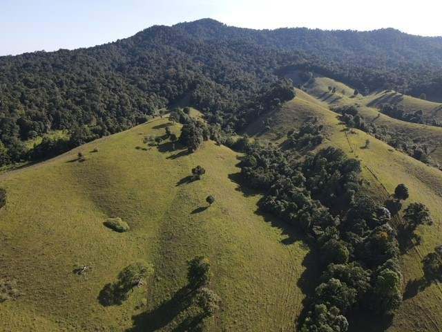 Middlebrook Road, Millaa Millaa For Sale by Farmbuy.com - image 8
