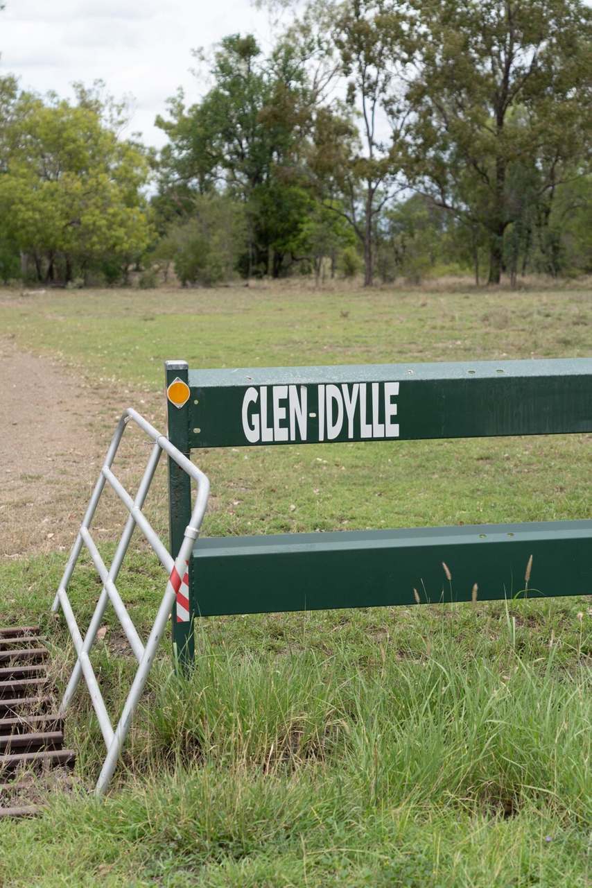 “Glen Idylle”, Banana For Sale by Farmbuy.com - image 2
