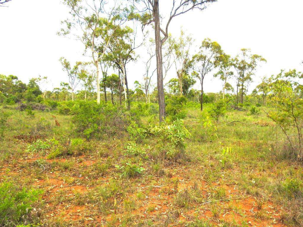 45 Wilson Court, Breddan Sold by Farmbuy.com - image 8