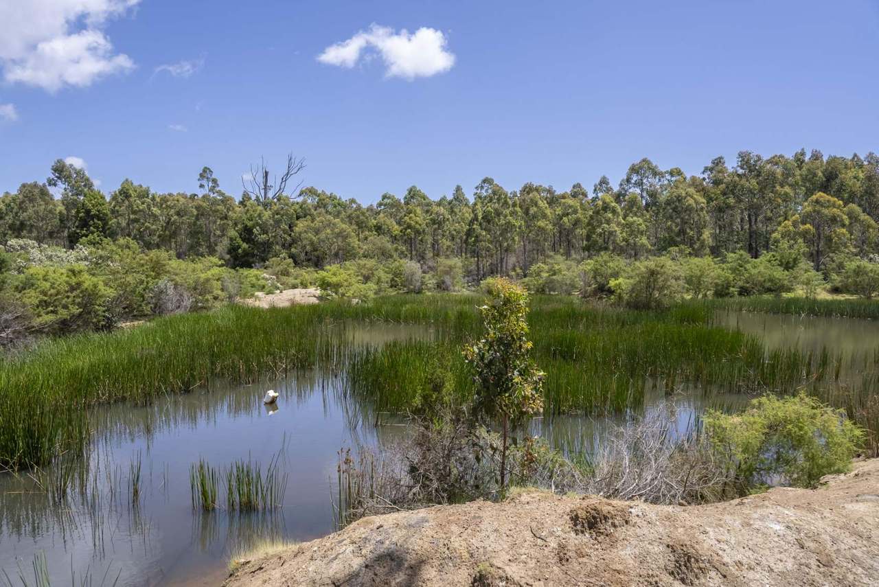 63 Red Road, Pipers River For Sale by Farmbuy.com - image 17