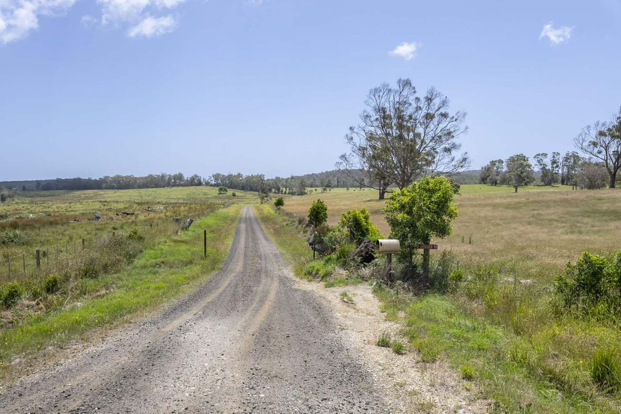 63 Red Road, Pipers River For Sale by Farmbuy.com - image 31