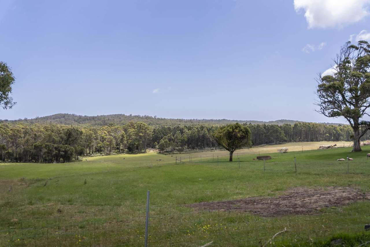 63 Red Road, Pipers River For Sale by Farmbuy.com - image 23